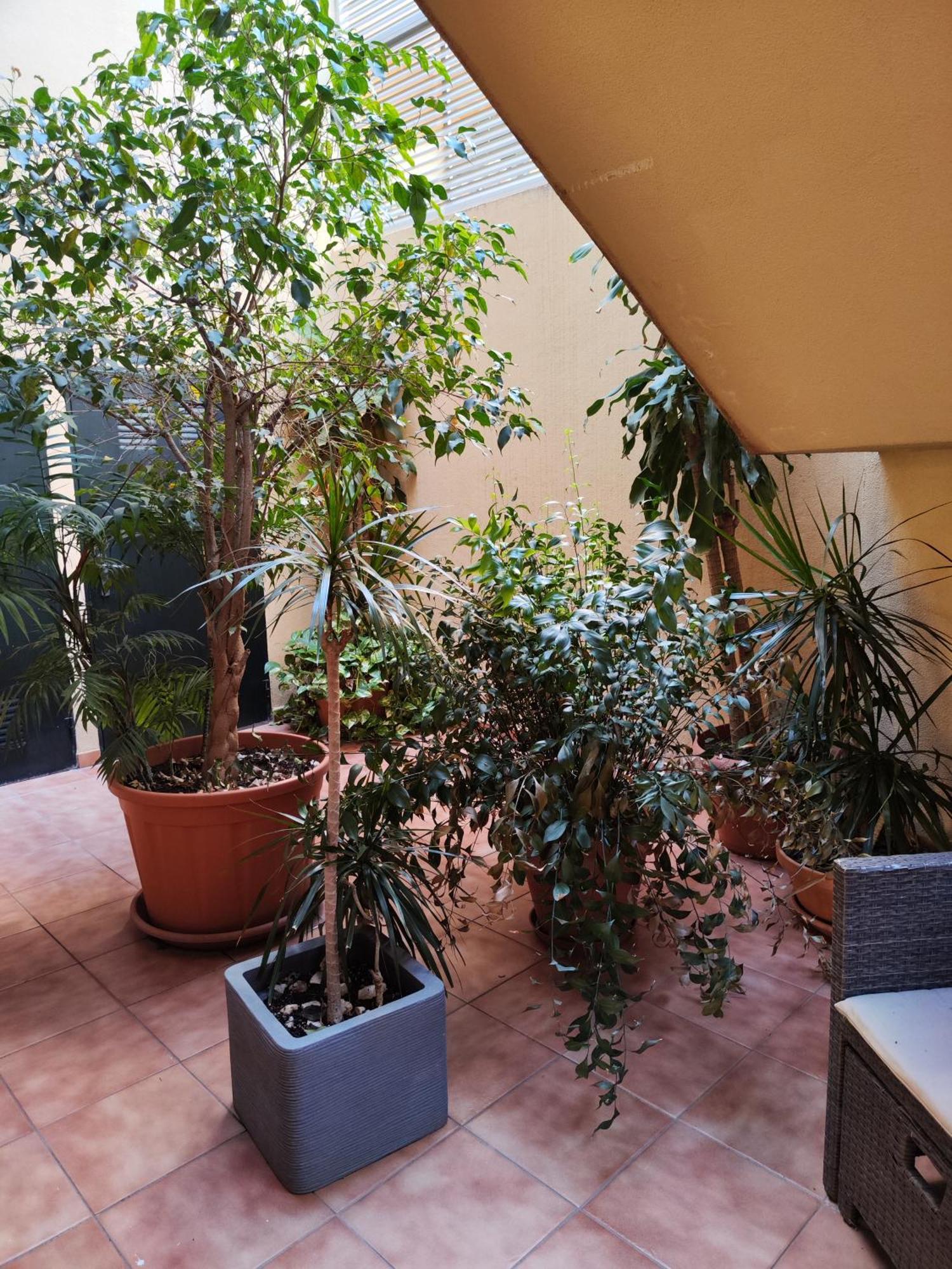 Malaga Experienceアパートメント エクステリア 写真