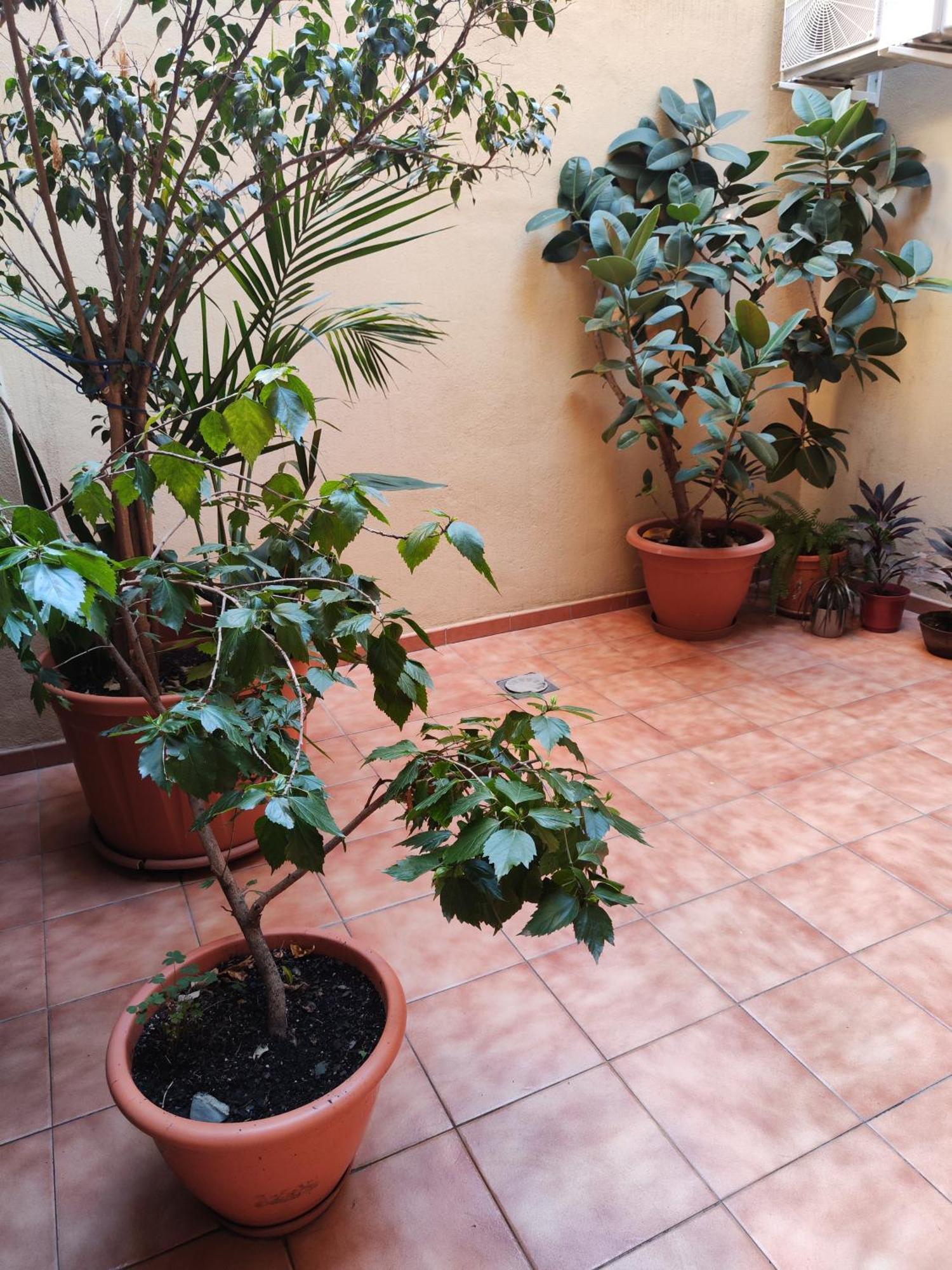 Malaga Experienceアパートメント エクステリア 写真
